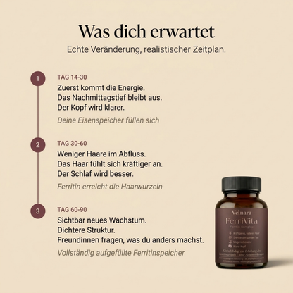 FerriVita Ferritin-Komplex