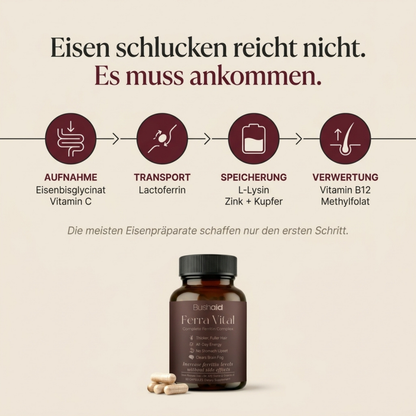 FerriVita Ferritin-Komplex